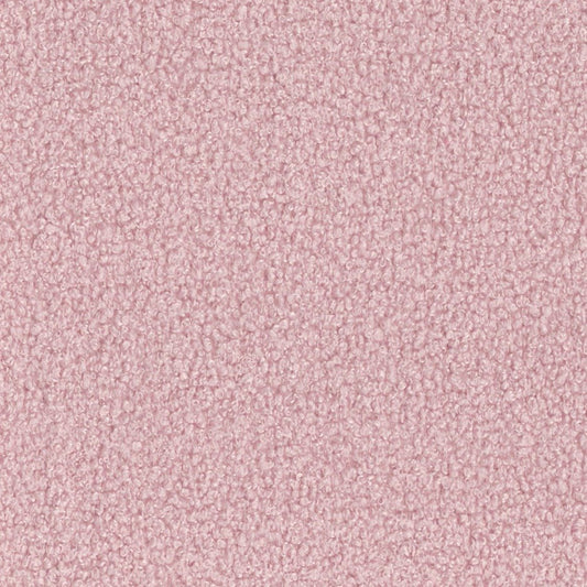 Boucle | Powder Pink